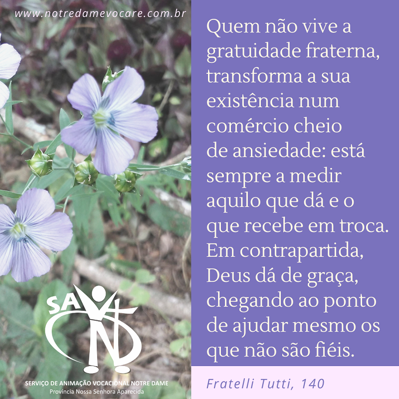 Notre Dame Vocare